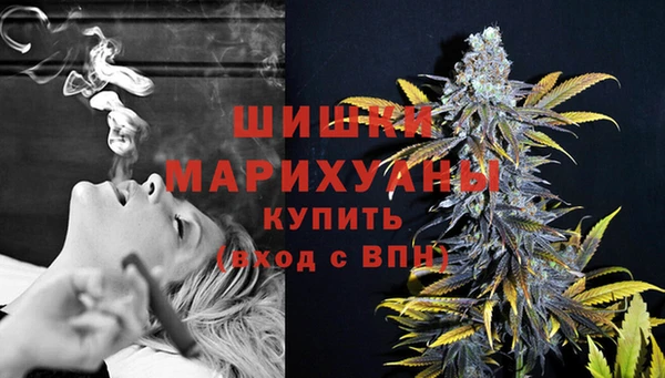 гидра Кукмор