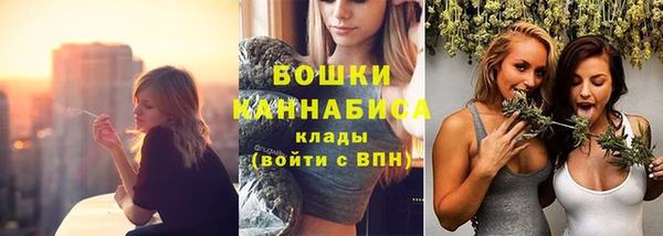 гидра Кукмор