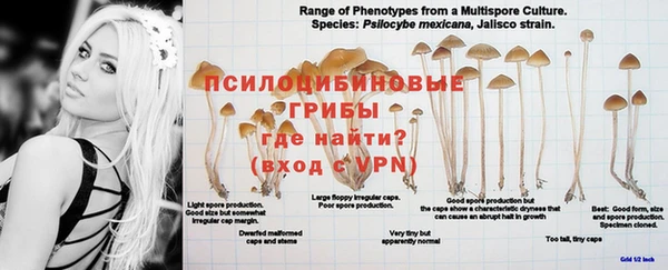 амф Балахна