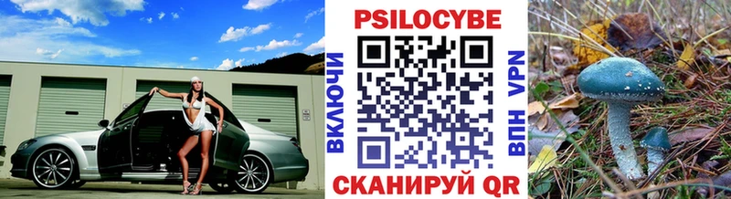Галлюциногенные грибы Cubensis Армавир