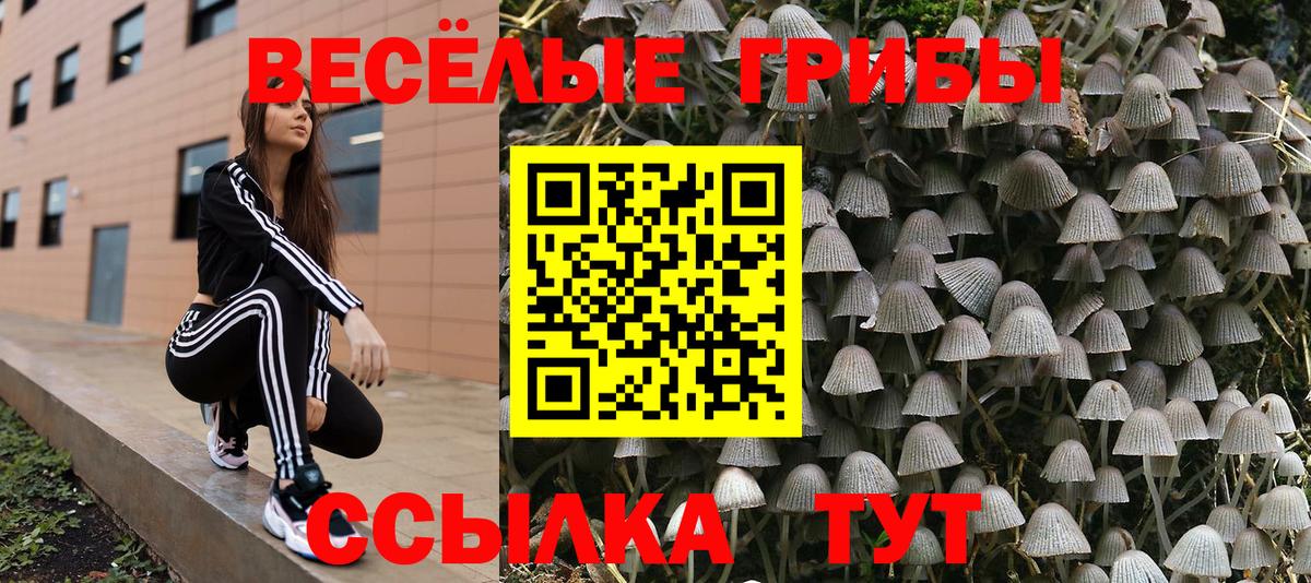 Галлюциногенные грибы GOLDEN TEACHER  Вход с VPN  Армавир 