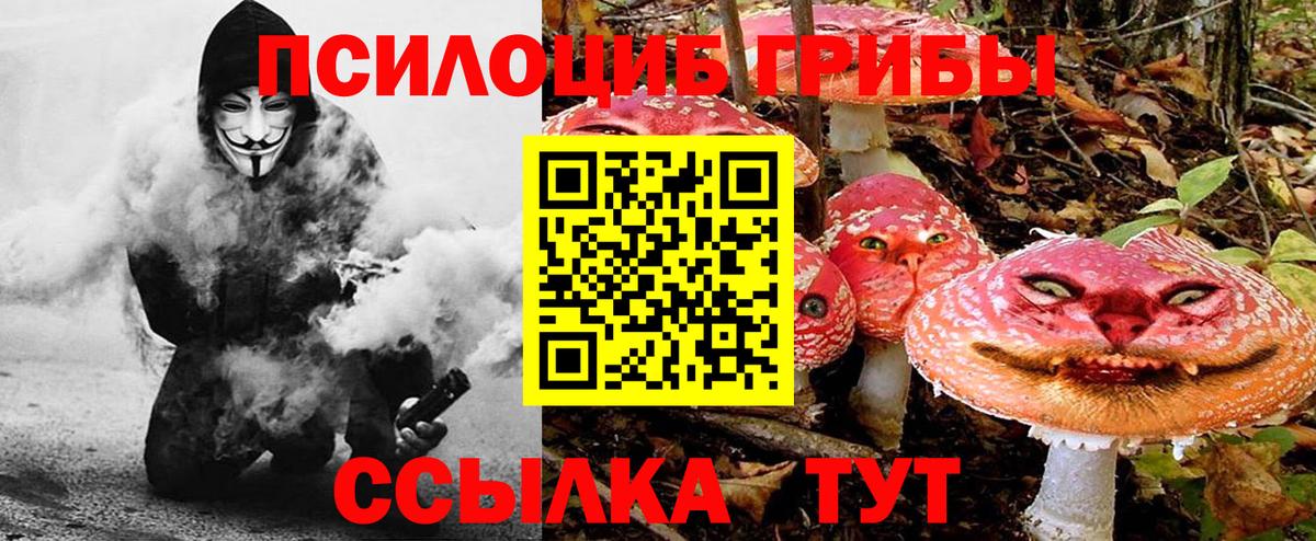 Галлюциногенные грибы Magic Shrooms Армавир