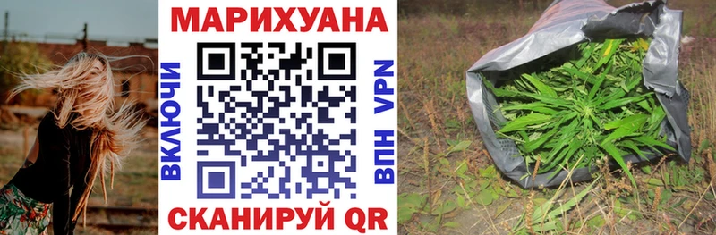 Конопля гибрид  Армавир 